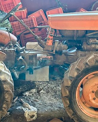 Trattore FIAT 251R Montanina|edizione rara e unica