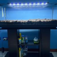 Acquario 150L con mobile e luci led