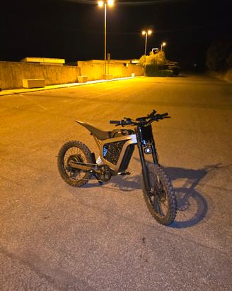 Bici elettrica