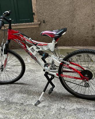 Mountain bike 10-12 anni