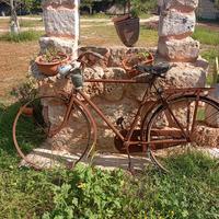 bicicletta uomo freni a bacchetta 