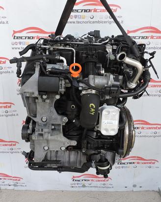 Motore volkswagen polo 1.6 tdi cay rf604
