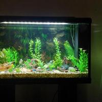acquario 90l