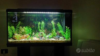 acquario 90l