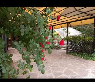 Locale commerciale c1 ristorante