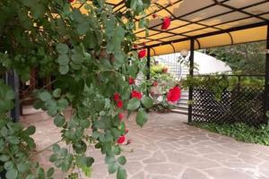 Locale commerciale c1 ristorante