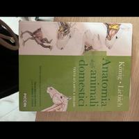 Libro anatomia degli animali domestici Konig