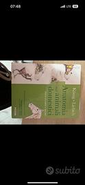 Libro anatomia degli animali domestici Konig