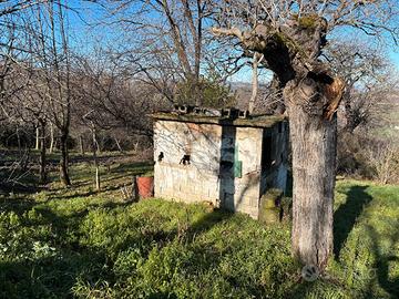 Terreno agricolo con deposito e pozzo