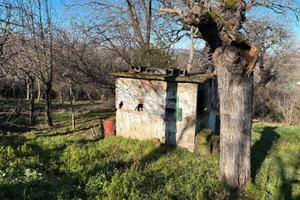 Terreno agricolo con deposito e pozzo