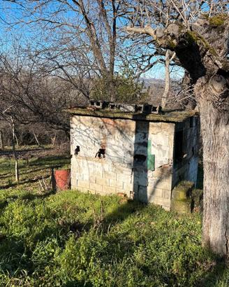 Terreno agricolo con deposito e pozzo