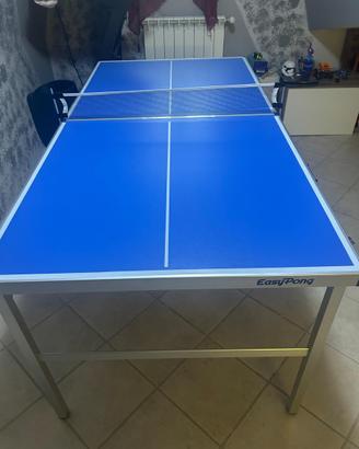Tavolo da ping pong