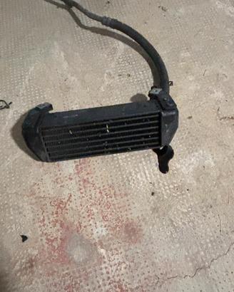 Radiatore olio BMW R 1150 GS