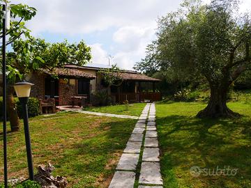 Last minute collina di Tropea