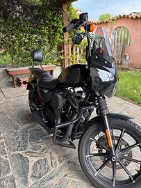 Harley davidson  sporster