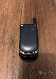Motorola V50 “dattero”