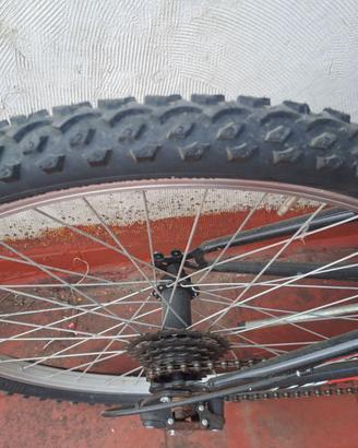 Bicicletta ragazzo