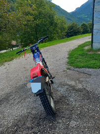 Beta TR 34 campionato