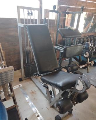 leg extension Technogym 