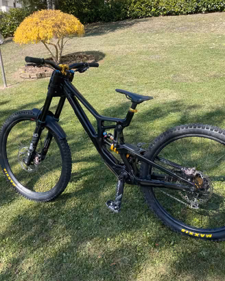 Santa cruz V10