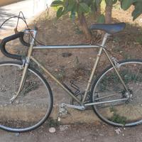 Colnago Sport tg.55