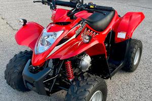 Kymco Maxxer 50 – condizioni pari al nuovo