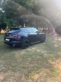 Stelvio 2.2 210cv