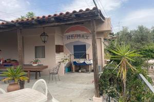 Casa Indipendente - Zafferana Etnea