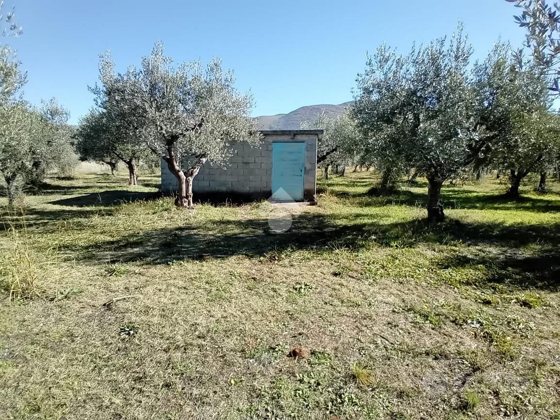 TER. AGRICOLO A SPOLETO - Altro