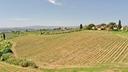 ettari-di-vigna-colli-fiorentini