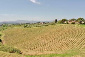 Ettari di VIGNA - Colli fiorentini