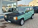 fiat-panda-1100-i-e-cat-young
