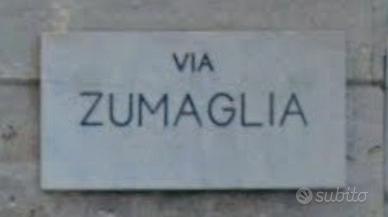 Luminoso bilocale
