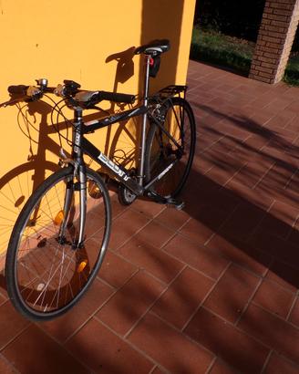 Bici Scott uomo