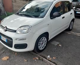 FIAT Panda 2021 Euro 6D NEOPATENTATI