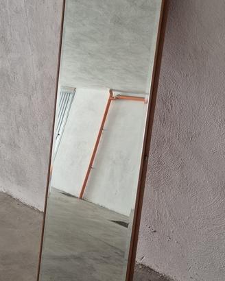 Porta in legno con specchio
