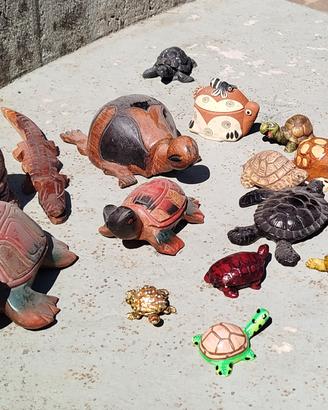 collezione di 18 tartarughe