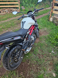 Moto Benelli modello BN302, 15,557 km