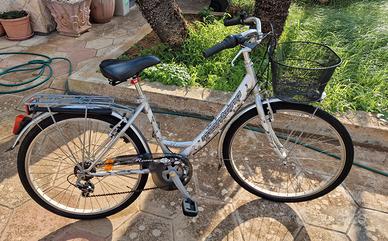 Bicicletta Montana