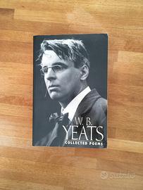 W.b. yeats collected poems