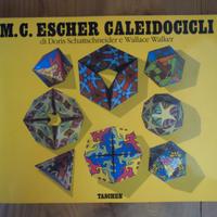 CALEIDOCICLI Taschen edizioni