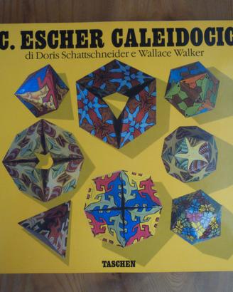 CALEIDOCICLI Taschen edizioni
