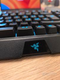 Razer Blackwidow 