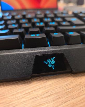 Razer Blackwidow 