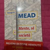 Mente, sè e società George Mead