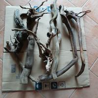 Articoli acquario nuovi