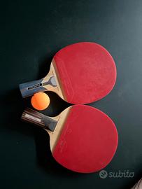 due racchette da ping pong professionali