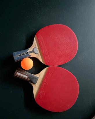 due racchette da ping pong professionali