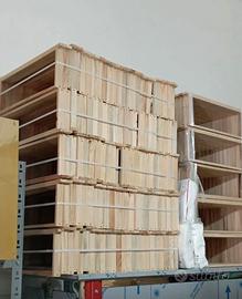 Telaini da Melario Apicoltura 10pz Telai Melario