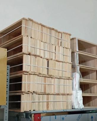 Telaini da Melario Apicoltura 20pz Telai Melario